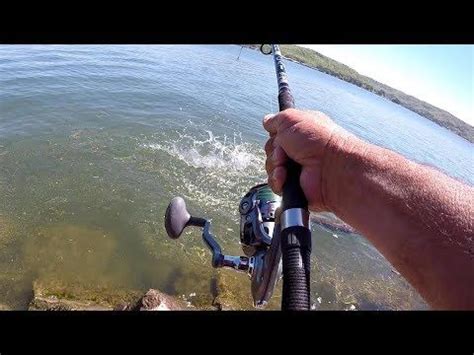 How To Catch Huge Catfish From The Bank In Catfish How To Catch