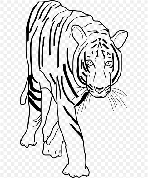 Tiger Black And White Clipart