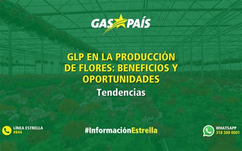 Glp Archivos Gas Pa S