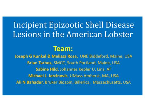 Pdf Incipient Shell Disease Lesions In The American Lobster Carapace