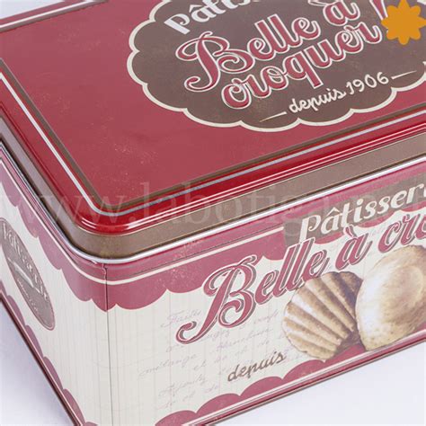 Caja De Almacenamiento Met Lica Galletas Scandi X X Mm