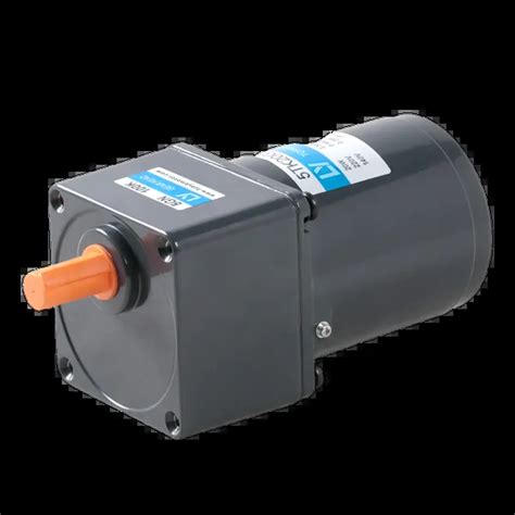 W Micro Ac Low Rpm High Torque Motor