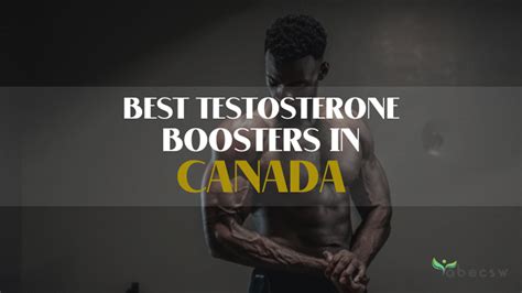 Best Testosterone Boosters In Canada 2023 Healthier Trajectory