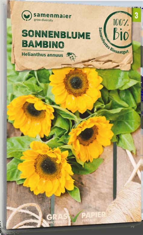 Samen Maier Bio Sonnenblume Bambino 1 Packung Bloomling Deutschland