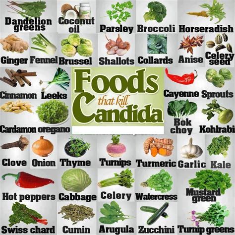 Foods That Kill Candida Anti Candida Diet Candida Diet Recipes