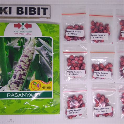 Jual 20 Butir Benih Jagung Pulut Putih Ungu Shopee Indonesia