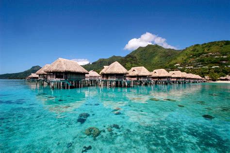 Sofitel Kia Ora Moorea Beach Resort - Superior Overwater Bungalow