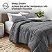 Amazon Bare Home Comforter Set Twin Extra Long Size Ultra Soft