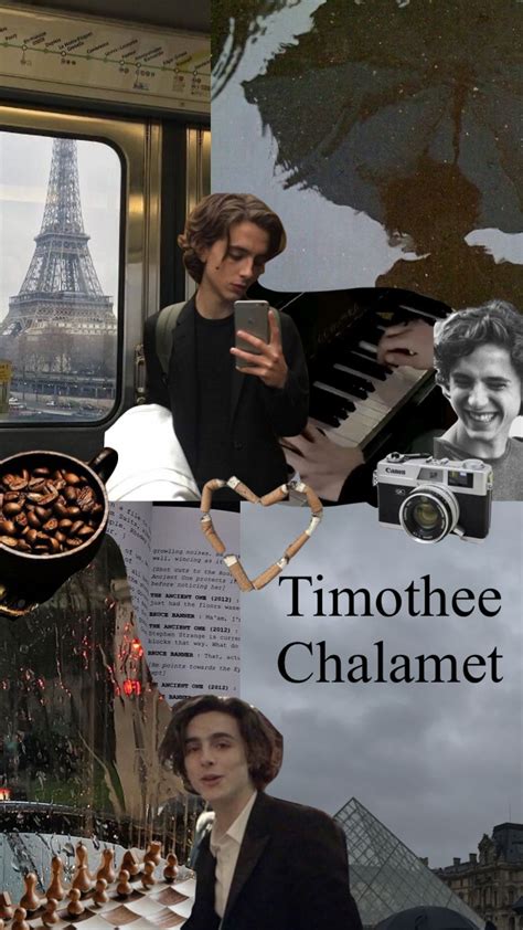 Timothée chalamet lockscreen Artofit