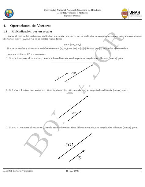 Notas Borrador Mm Vectores Y Matrices Segundo Parcial