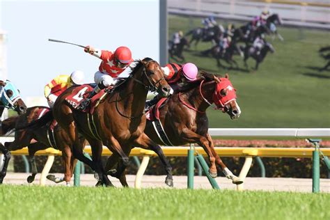 【京王杯sc】ウインマーベルがド根性v！首の上げ下げを制し重賞4勝目 サンスポzbat