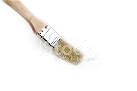 Paintbrush Stock Photo | Royalty-Free | FreeImages