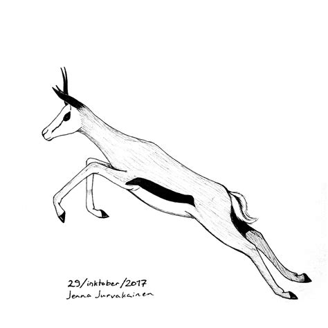 Gemsbok Drawing At Getdrawings Free Download