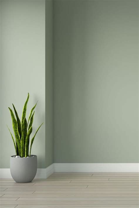 Oak Floors With Sage Wall Color Id E Peinture Maison D Coration