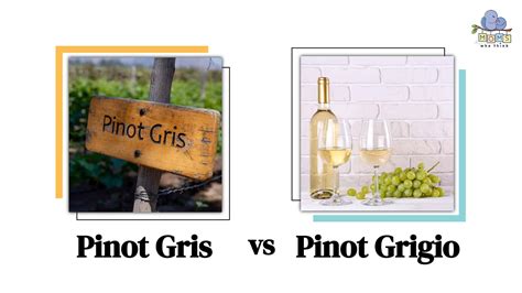 Pinot Gris Vs Pinot Grigio Differences Foods To Pair With Each