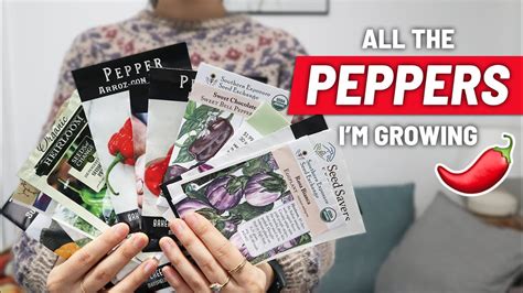 13 PEPPER VARIETIES I M Growing This Year Plus Eggplant And A