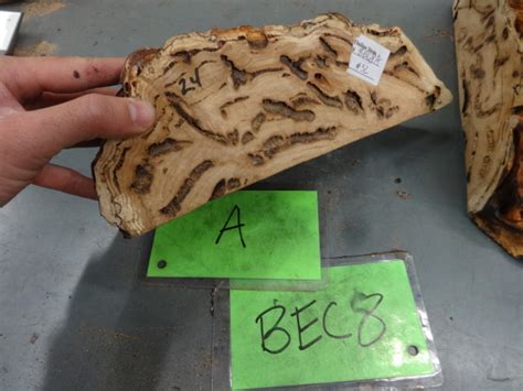 Eucalyptus Burl BEC8A Tropical Exotic Hardwoods