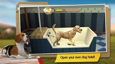 DogHotel: My Dog Boarding Kennel Review | Games Finder