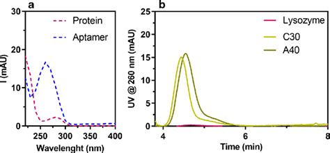 A UV Spectra Of Lysozyme As Representative Protein Pink And A40 As