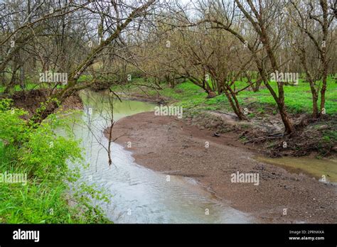 Big Bone Lick In Kentucky Stock Photo Alamy