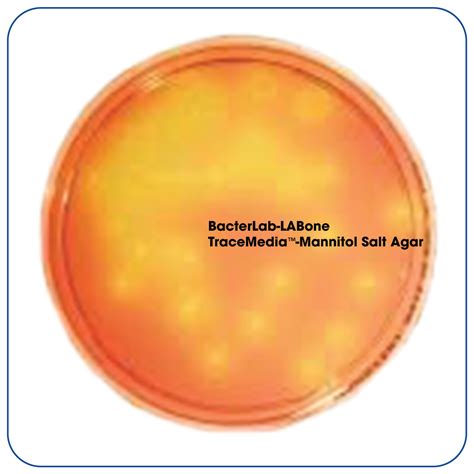 TraceMedia Mannitol Salt Agar LABone Scientific Co Ltd