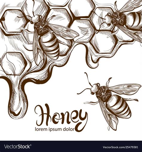 Honey Bees Combs Vector Line Art Retro Vintage Old Effect Style