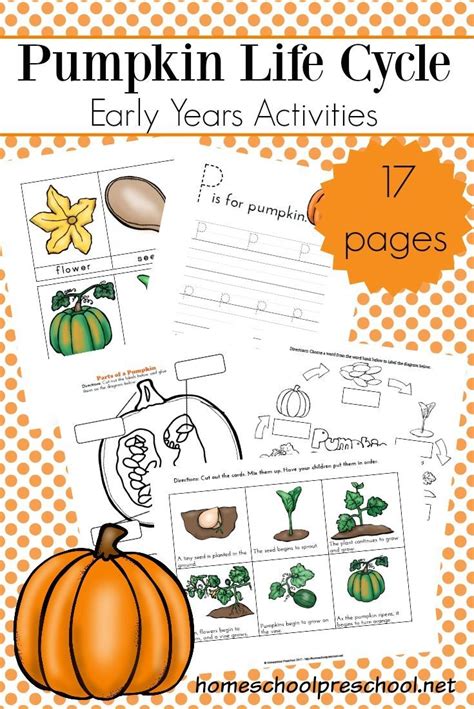 Life Cycle Of A Pumpkin Printable