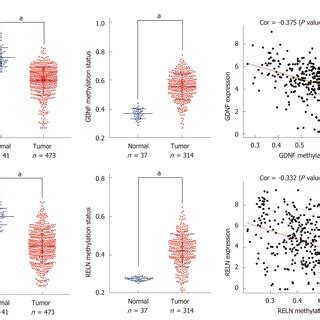 The Expression Methylation Status And Spearman S Correlation Analysis