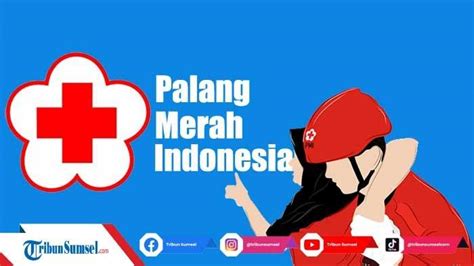 Hari Palang Merah Indonesia Diperingati Tanggal 3 Atau 17 September Ini Penjelasan Dan