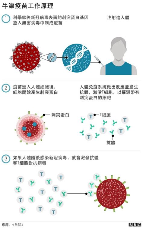 新冠疫苗：英國、歐盟對牛津阿斯利康疫苗表示信心 Bbc News 中文