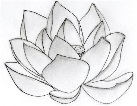 Image de Fleur: Fleur De Lotus Dessin Simple