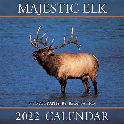 18 Best Wildlife Calendars 2022 - CalendarBuy.com