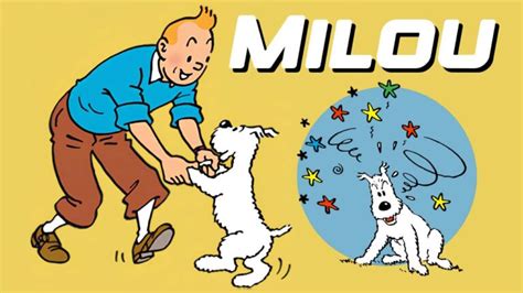 Milou Choses M Connues Sur Le Chien De Tintin