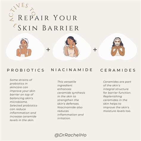 Dr Rachel Ho How To Repair Your Skin Barrier