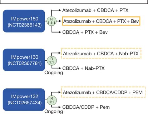 Figure 1 From Atezolizumab In Non Squamous Non Small Cell Lung Cancer