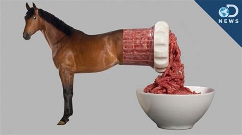 Horse meat - Alchetron, The Free Social Encyclopedia