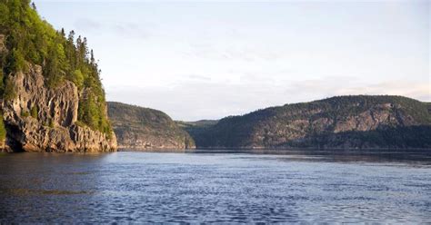 The 10 Best outdoor activities in Tadoussac | Manawa