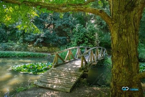 Parcul Dendrologic Simeria Go Hunedoara