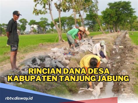 Rincian Dana Desa Kabupaten Tanjung Jabung 2024 Berapa Alokasi Dana Di