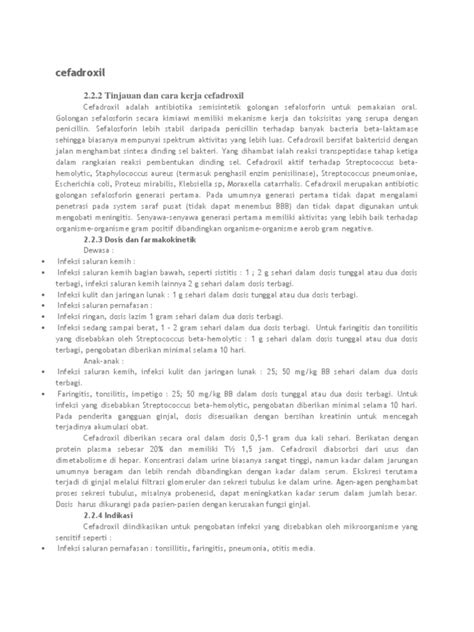 cefadroxilcefadroxil  tinjauan   kerja cefadroxil