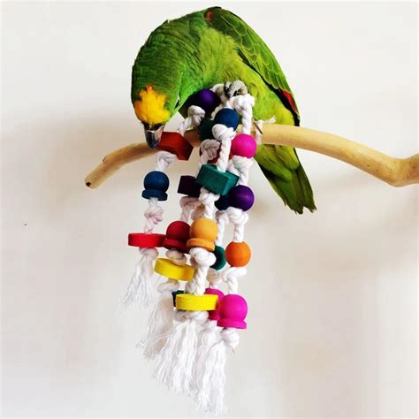 Fashion Innovative Bird Parrot Chew Toy Rope Harness Cage Bite Toys Pet