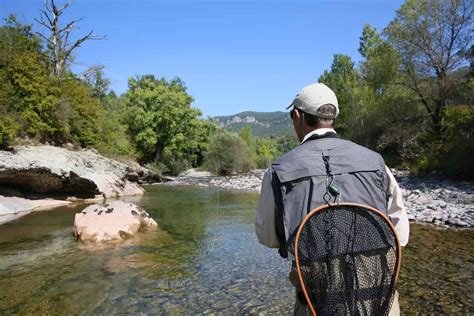 Everything You Need for Trout Fishing [Great for Beginners] - Southern ...