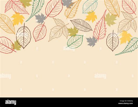 Fall Leaves Background Stock Vector Image & Art - Alamy