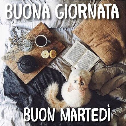 Pin di Conchetta Bowers su buon giorno Buongiorno martedì Martedì