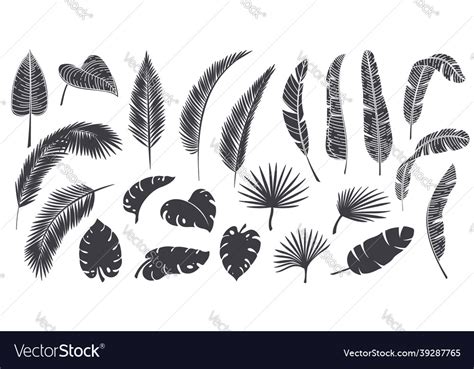 Silhouettes Tropical Leaves Royalty Free Vector Image