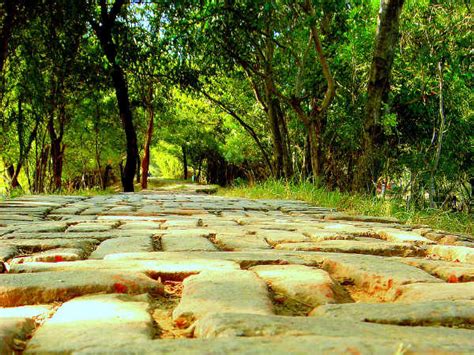 Sultanpur National Park In Haryana Nativeplanet