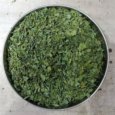 Green Organic Kasuri Methi At Rs 260 Kg In New Delhi ID 2853553658633