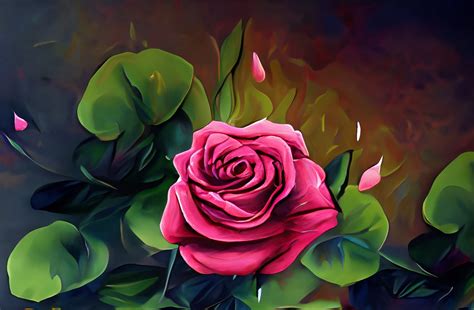 Pink Rose Art Print Free Stock Photo Public Domain Pictures