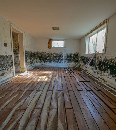 Water Damage Restoration Projects Our Work Water B Gone