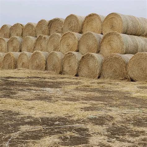 Hay For Sale South Dakota